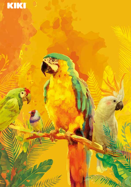 Bird Food