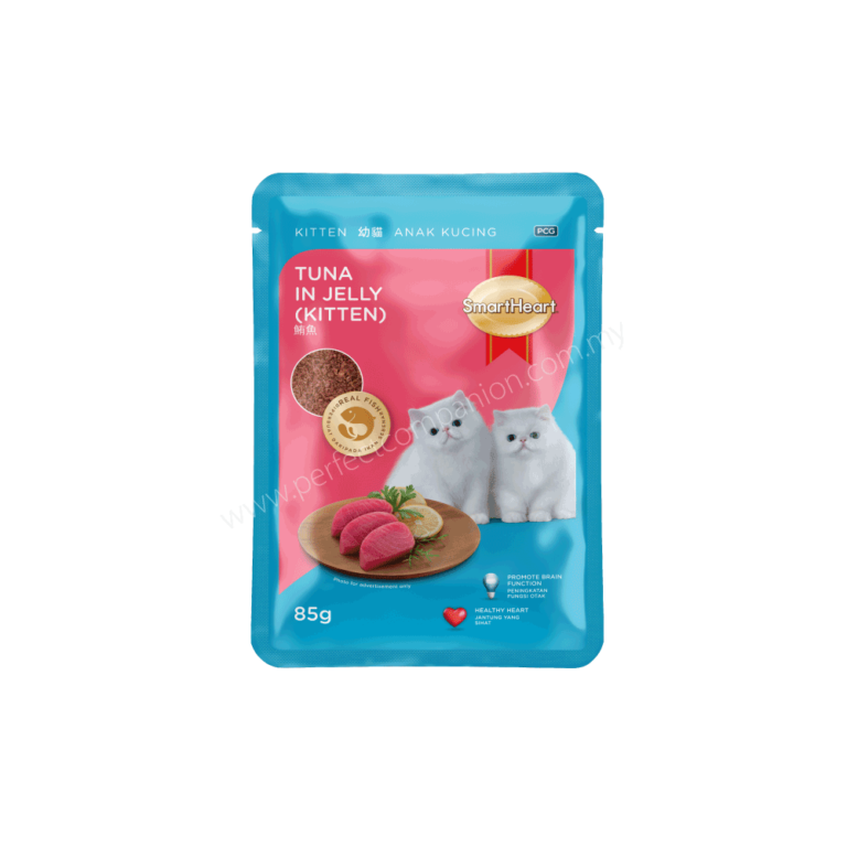 Cat & Dog Food
