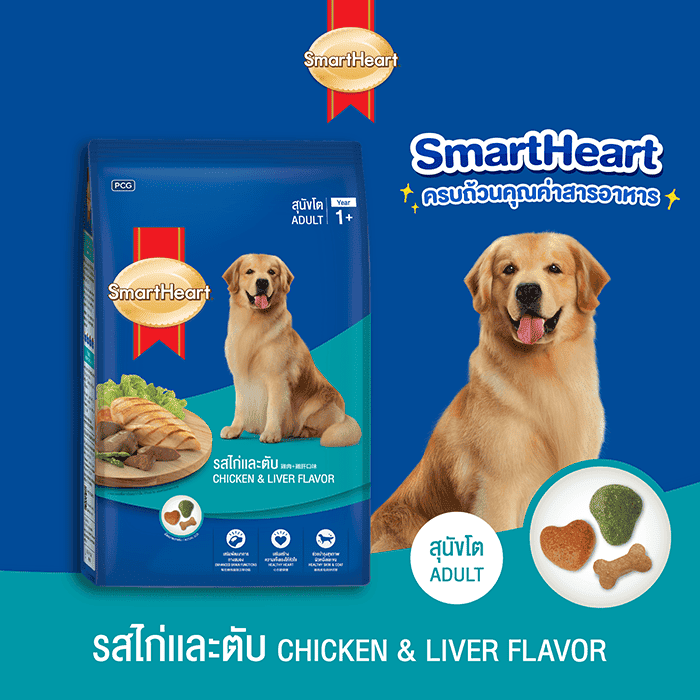 Cat & Dog Food