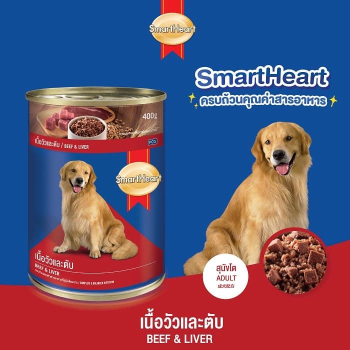Cat & Dog Food