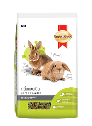 Rabbit Food