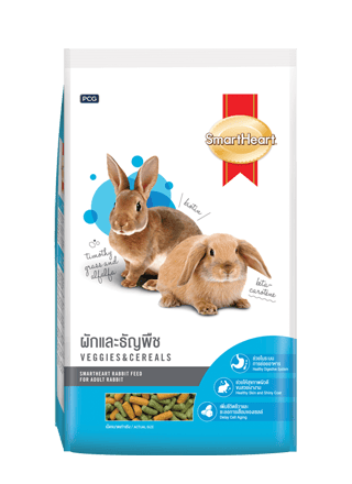 Rabbit Food