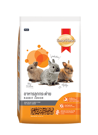 Rabbit Food