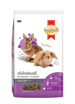 Rabbit Food